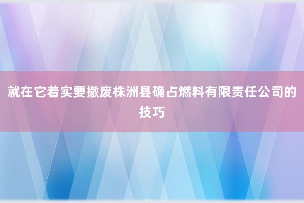 就在它着实要撤废株洲县确占燃料有限责任公司的技巧