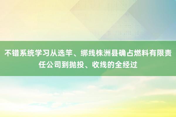 不错系统学习从选竿、绑线株洲县确占燃料有限责任公司到抛投、收线的全经过