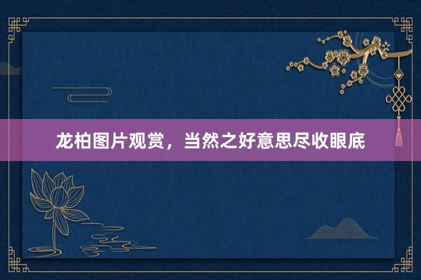 龙柏图片观赏，当然之好意思尽收眼底