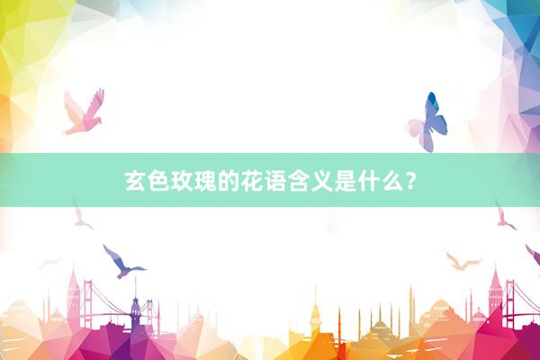玄色玫瑰的花语含义是什么？