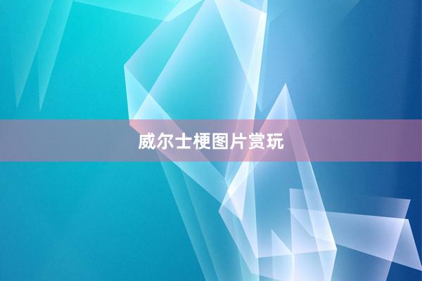 威尔士梗图片赏玩